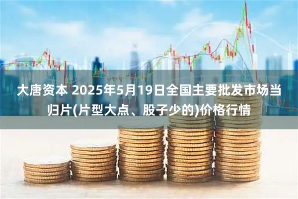 大唐资本 2025年5月19日全国主要批发市场当归片(片型大点、股子少的)价格行情
