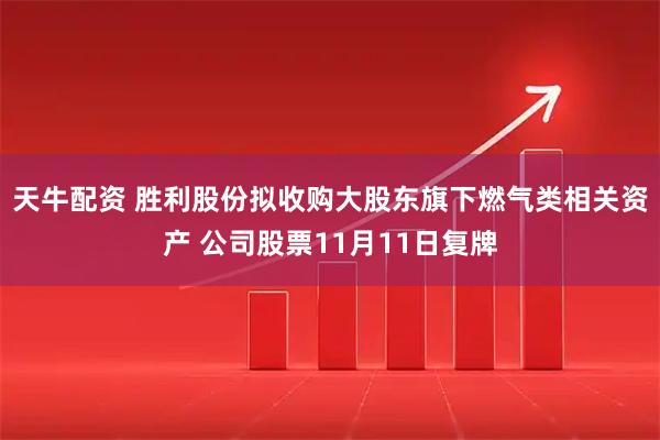 天牛配资 胜利股份拟收购大股东旗下燃气类相关资产 公司股票11月11日复牌