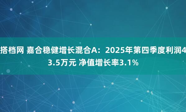 搭档网 嘉合稳健增长混合A：2025年第四季度利润43.5万元 净值增长率3.1%