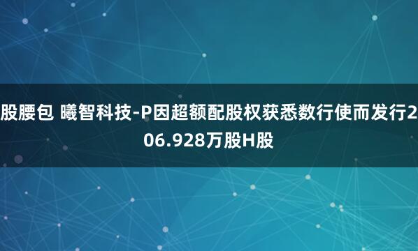 股腰包 曦智科技-P因超额配股权获悉数行使而发行206.928万股H股