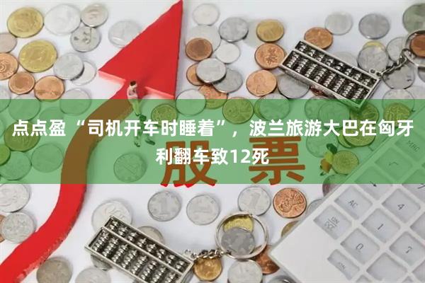 点点盈 “司机开车时睡着”，波兰旅游大巴在匈牙利翻车致12死